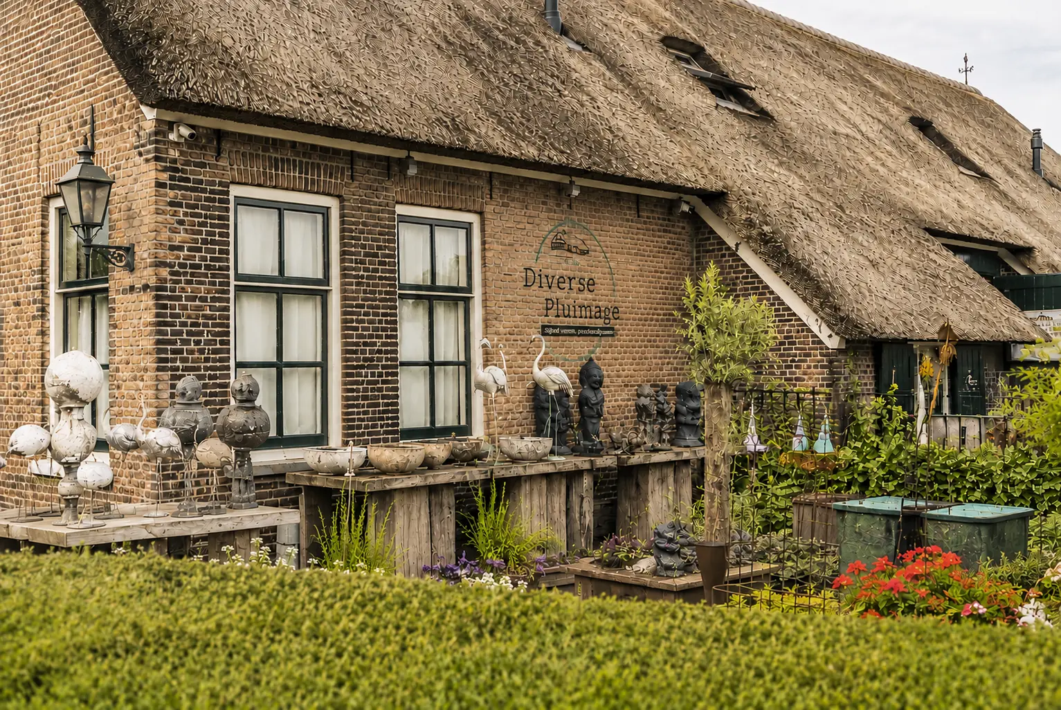 De woonwinkel van Diverse Pluimage in Dieverbrug